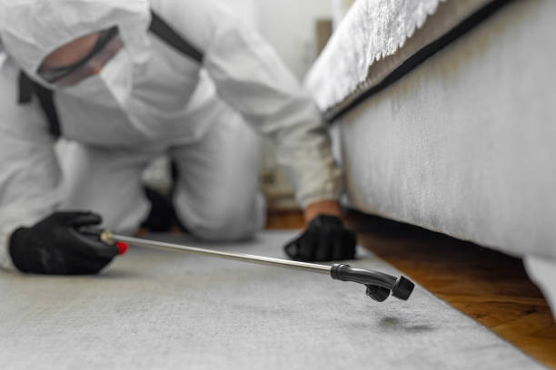 Professional Bed Bug Control technician working in Pleasantville, IA