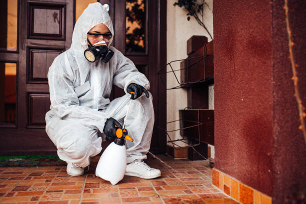 Reliable Bed Bug Control contractor in Pleasantville, IA by Nex Pest Control
