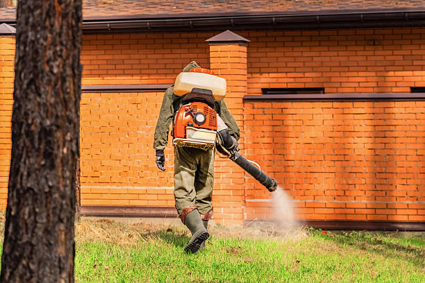 Trusted Rodent Control service in Pleasantville, IA - Nex Pest Control